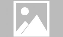 青青草最新视频,探寻自然之美，感受生命力量