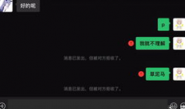 母子乱视频,揭开家庭伦理的隐秘面纱